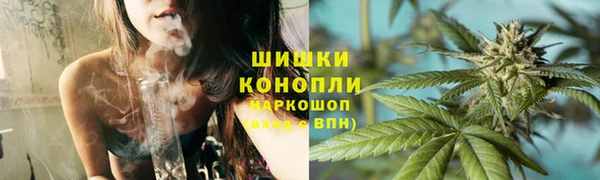 apvp Аркадак