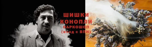 apvp Аркадак