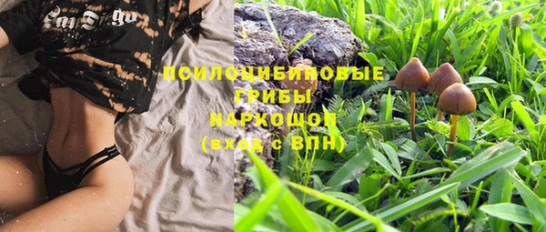 MESCALINE Арсеньев