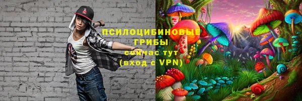 MESCALINE Арсеньев