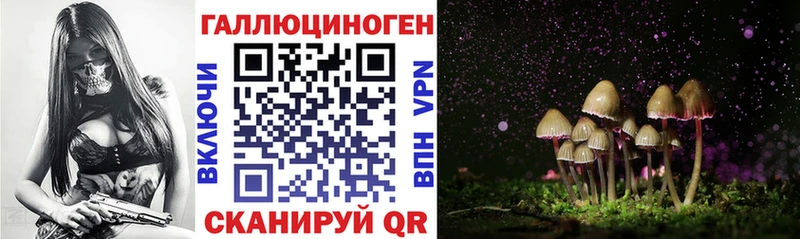 Псилоцибиновые грибы мицелий закладка Миллерово